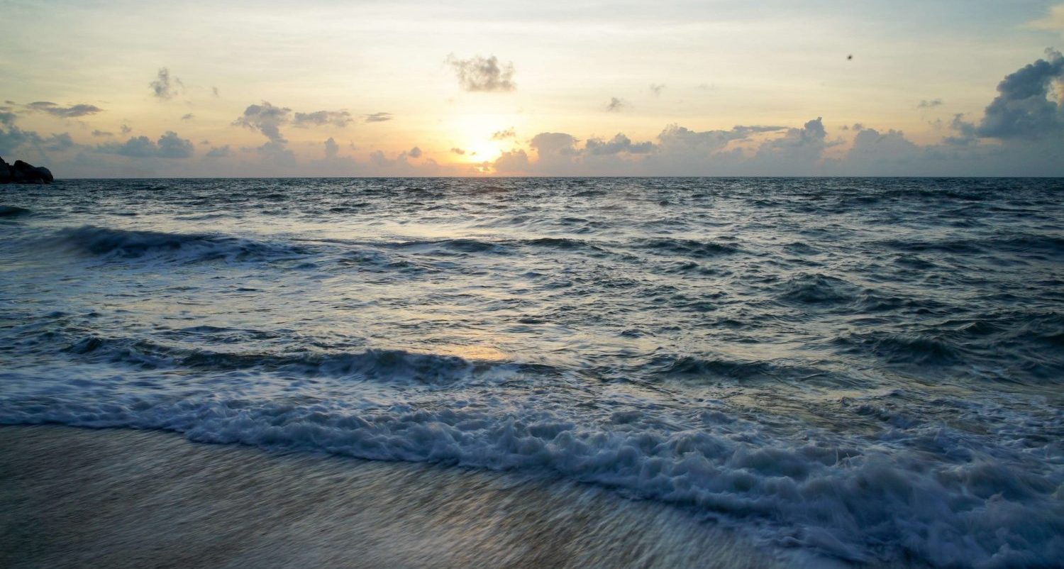 Home Detox & Cleanse Packages | Sanctuary Online Home Detox Program